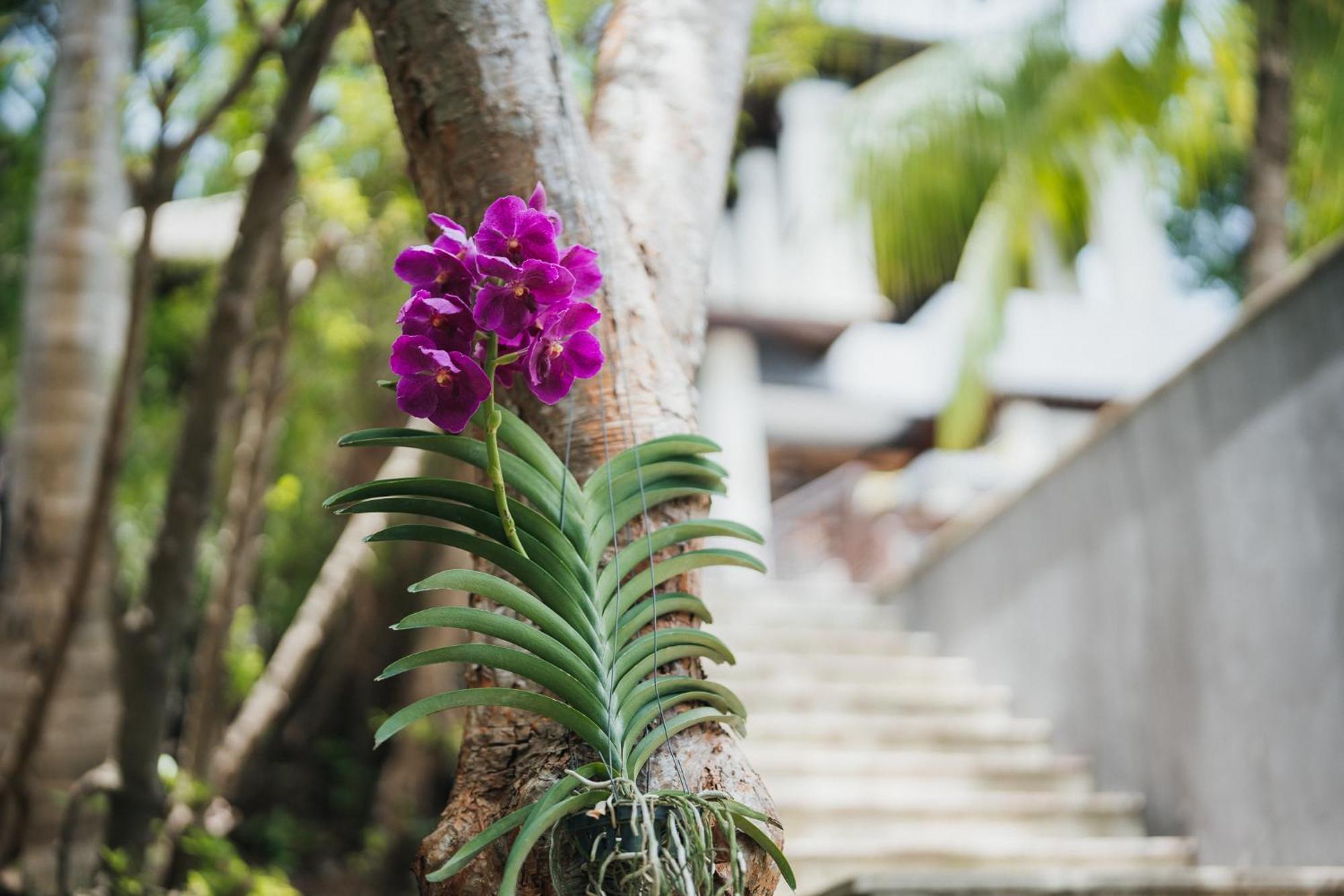 The Kala Hotel Amphoe Koksamui Bagian luar foto